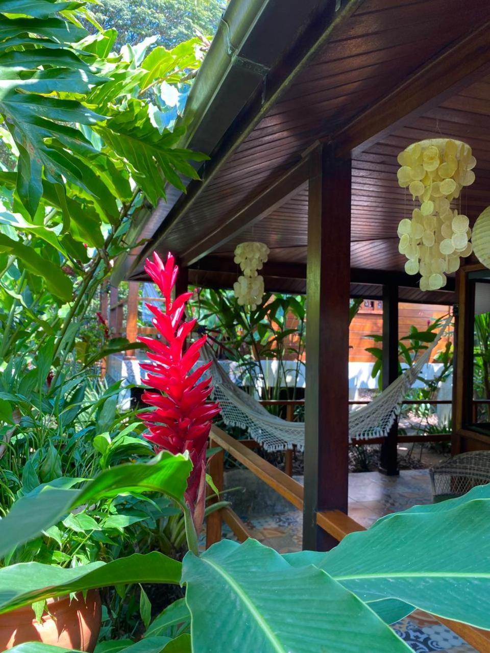 Aratinga Inn Vila do Abraao ภายนอก รูปภาพ